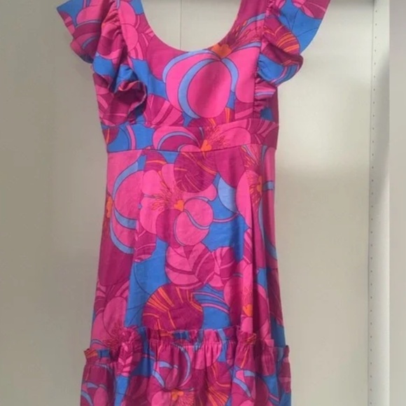 Tuckernuck x Cameran Eubanks Wild Azalea Ruffle Dress Tuckernuck M - Picture 3 of 4